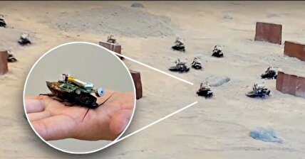 ببینید/ ارتش سوسک‌های رباتیک مجهز به کوله‌پشتی رایانه‌ای در بیابان
