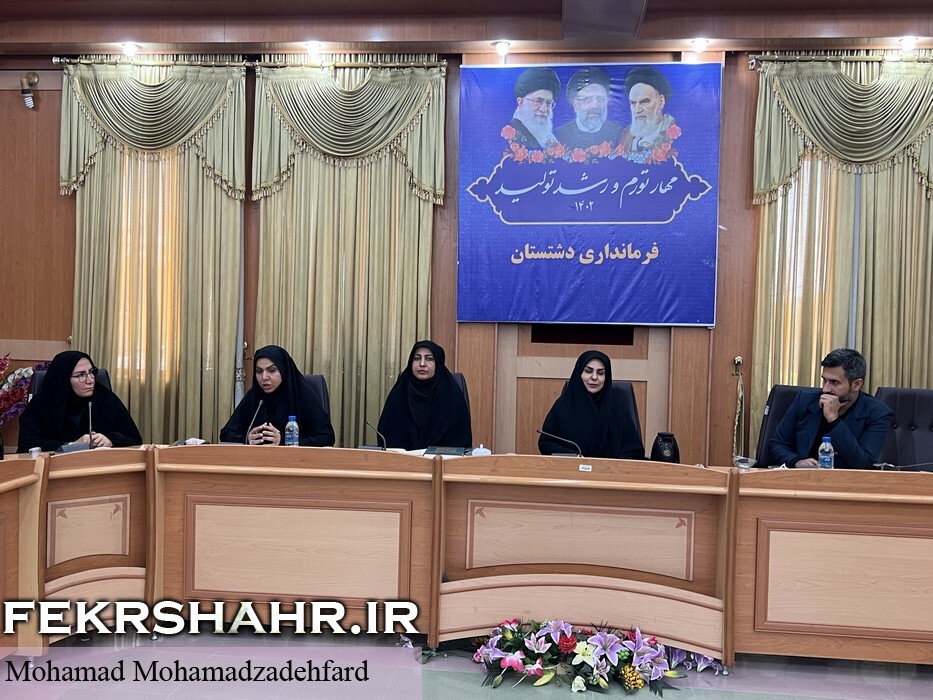 نشست خبری در دشتستان با حضور مدیران زن شهرستان/ گزارش «فکرشهر» را بخوانید + عکس