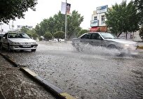 بیشترین باران در جنوب استان بوشهر، به میزان ۴۰ میلیمتر ثبت شد